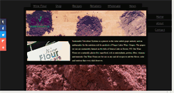 Desktop Screenshot of flxgrapeflour.com
